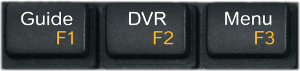 DVR-toetsen
